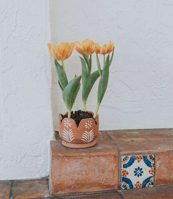 Vasanta Petals Planter with Drainage - Terracotta - Matr Boomie Fair Trade - Terra Cotta Gorge Co.